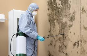 Best Residential Mold Inspection & Testing  in Spring Valley, CA